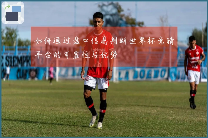 如何通过盘口信息判断世界杯竞猜平台的可靠性与优势