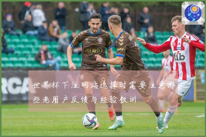 世界杯下注网站选择时需要注意哪些老用户反馈与经验教训