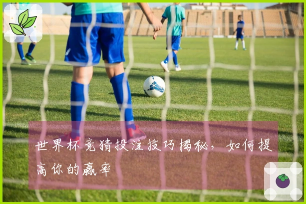 世界杯竞猜投注技巧揭秘，如何提高你的赢率