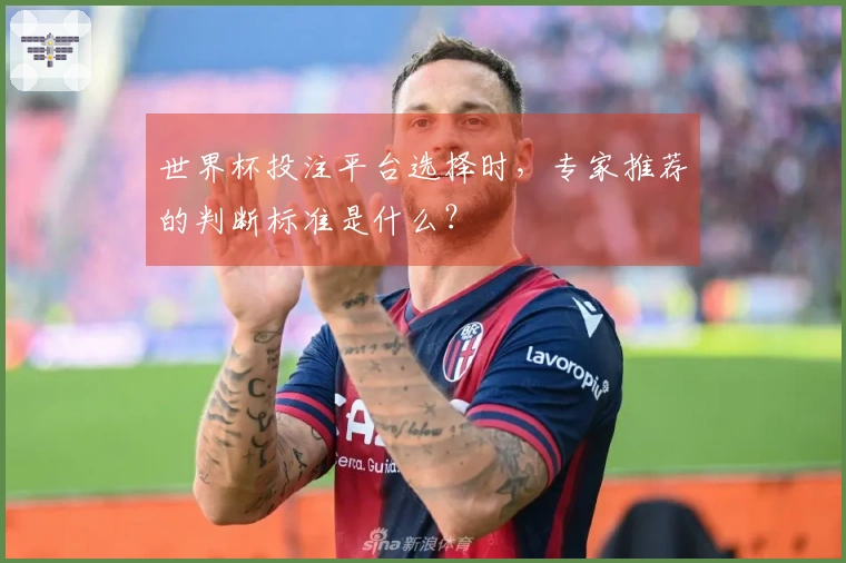 世界杯投注平台选择时，专家推荐的判断标准是什么？