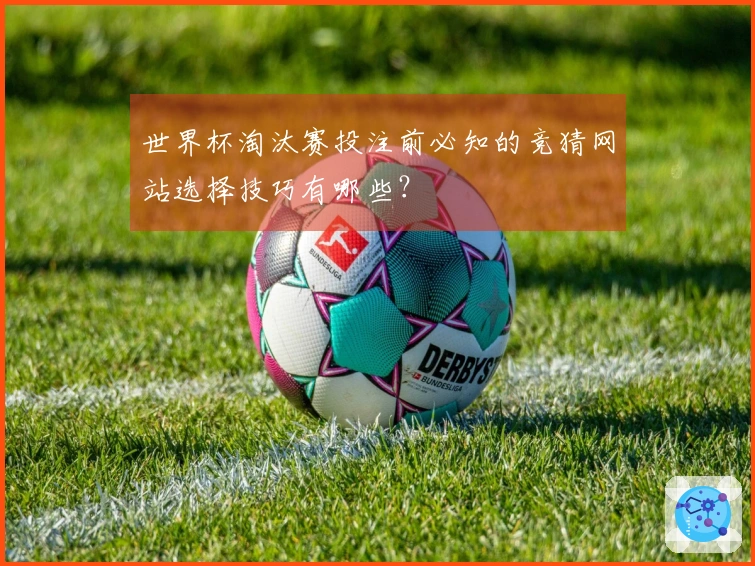 世界杯淘汰赛投注前必知的竞猜网站选择技巧有哪些？