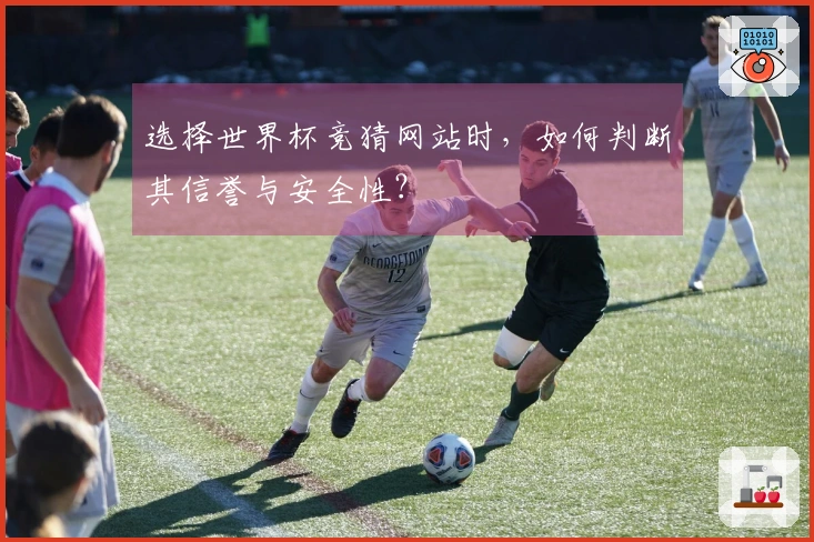选择世界杯竞猜网站时，如何判断其信誉与安全性？