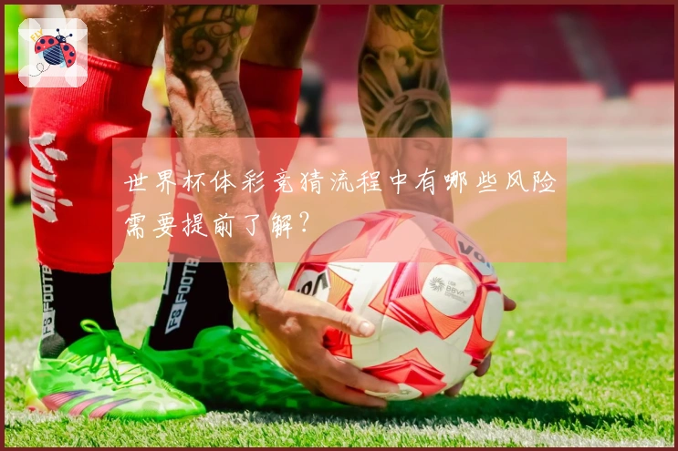 世界杯体彩竞猜流程中有哪些风险需要提前了解？