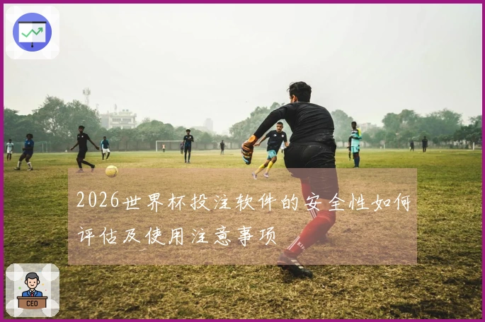 2026世界杯投注软件的安全性如何评估及使用注意事项