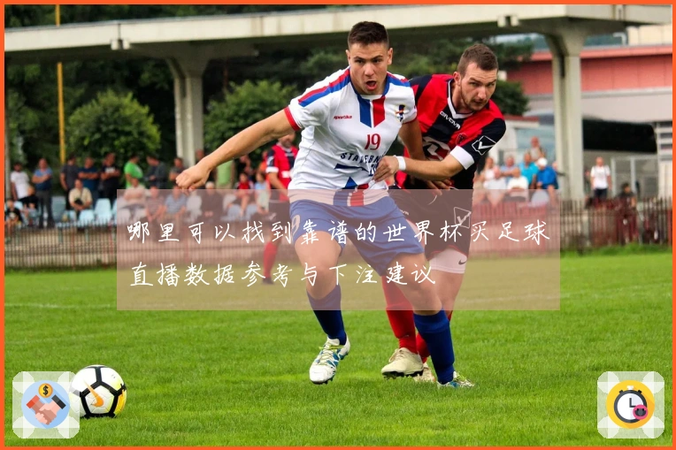 哪里可以找到靠谱的世界杯买足球直播数据参考与下注建议