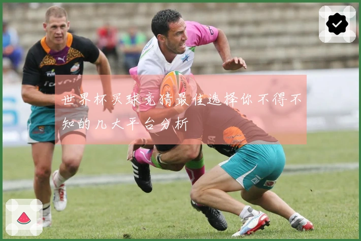 世界杯买球竞猜最佳选择你不得不知的几大平台分析