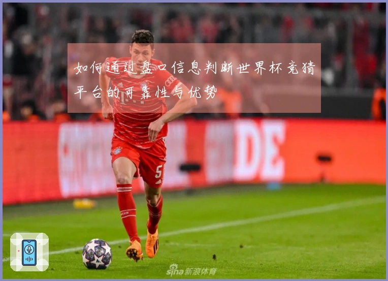 如何通过盘口信息判断世界杯竞猜平台的可靠性与优势