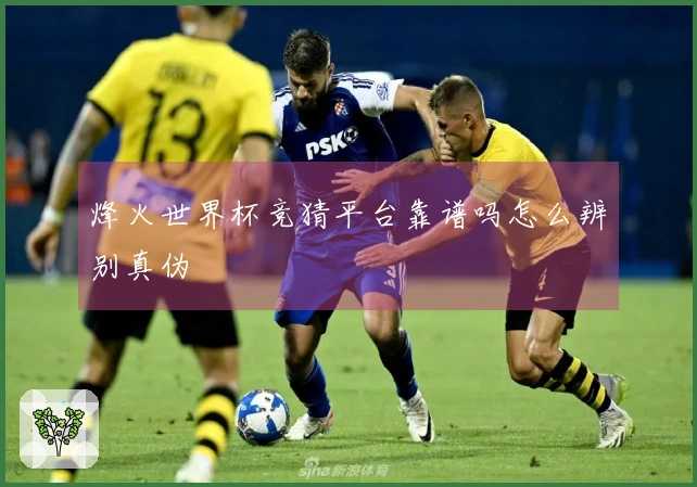 烽火世界杯竞猜平台靠谱吗怎么辨别真伪