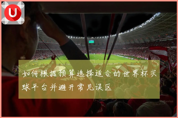 如何根据预算选择适合的世界杯买球平台并避开常见误区