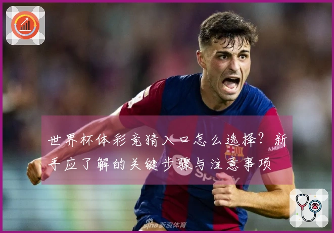 世界杯体彩竞猜入口怎么选择？新手应了解的关键步骤与注意事项
