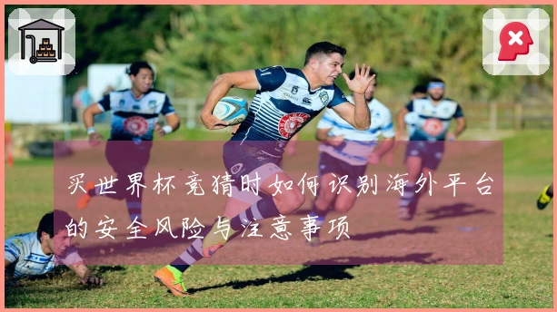 买世界杯竞猜时如何识别海外平台的安全风险与注意事项